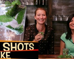 Cocktails with Hetal from ShowMeTheCurry! Gin Julep