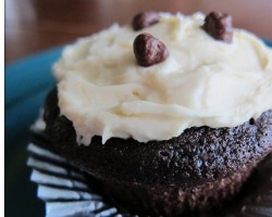 Guinness Chocolate Cupcakes with Bailey’s Irish Cream Frosting
