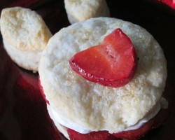 Strawberry Shortcake Recipe