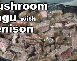 Mushroom Ragu with Venison